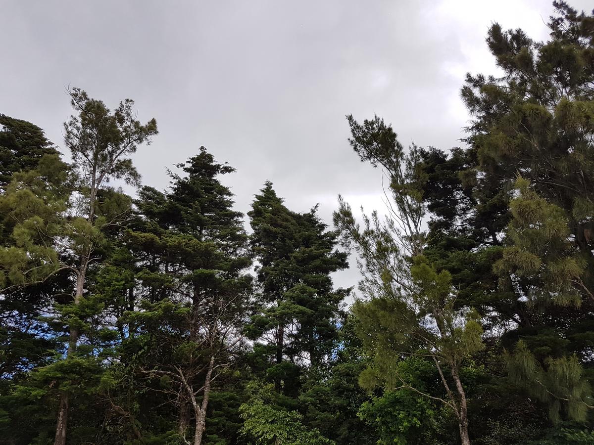 Greemount Hotel Monteverde Luaran gambar