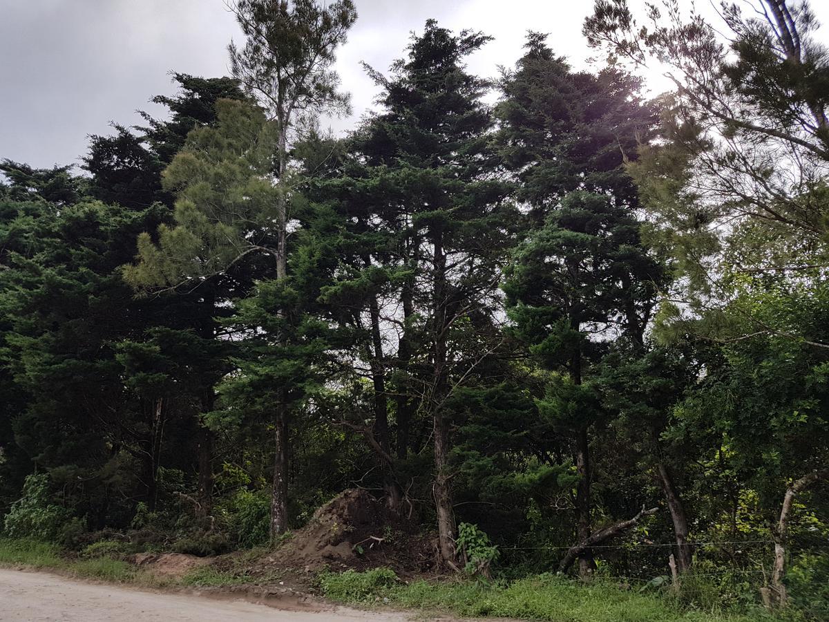 Greemount Hotel Monteverde Luaran gambar
