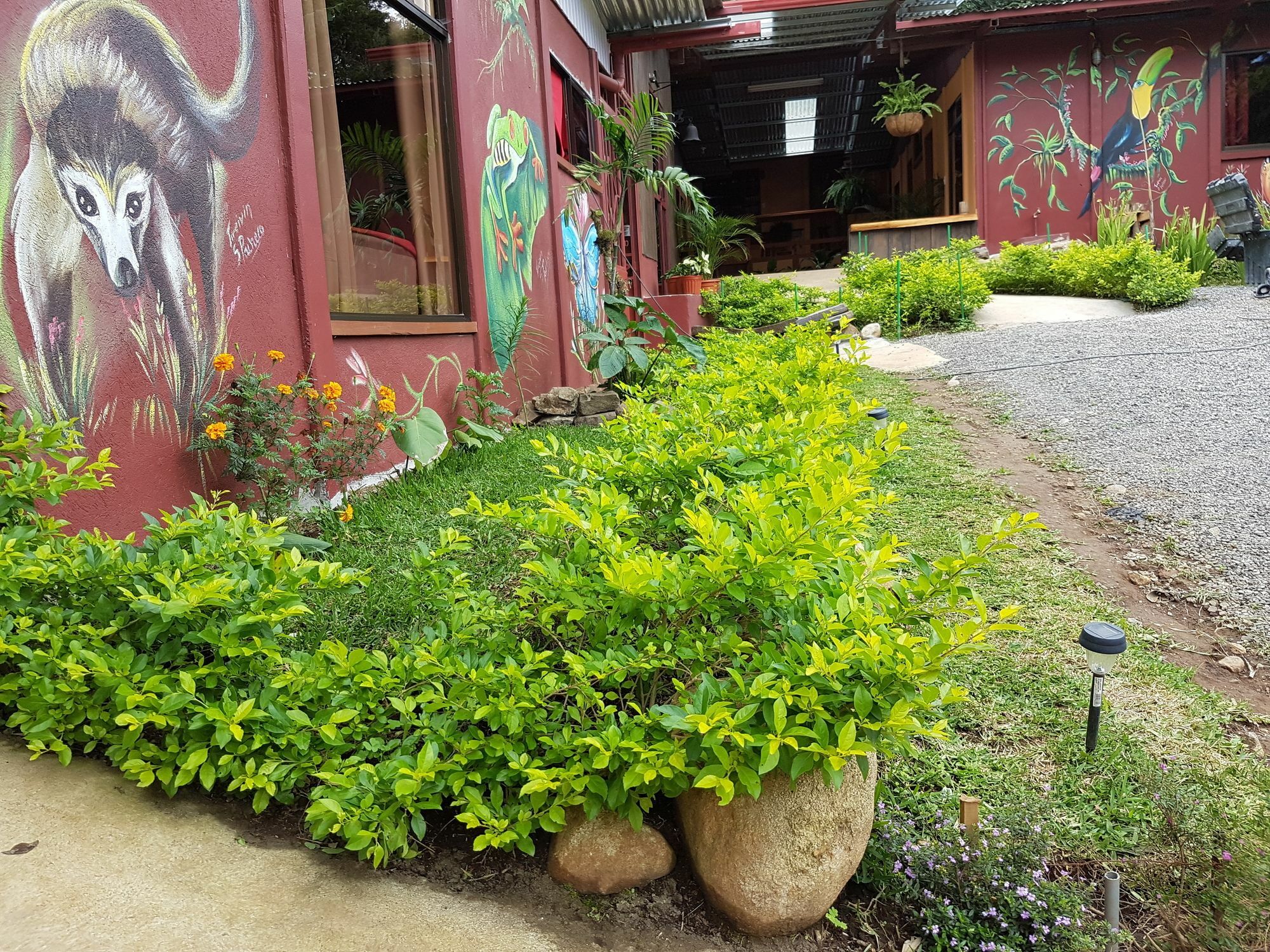 Greemount Hotel Monteverde Luaran gambar